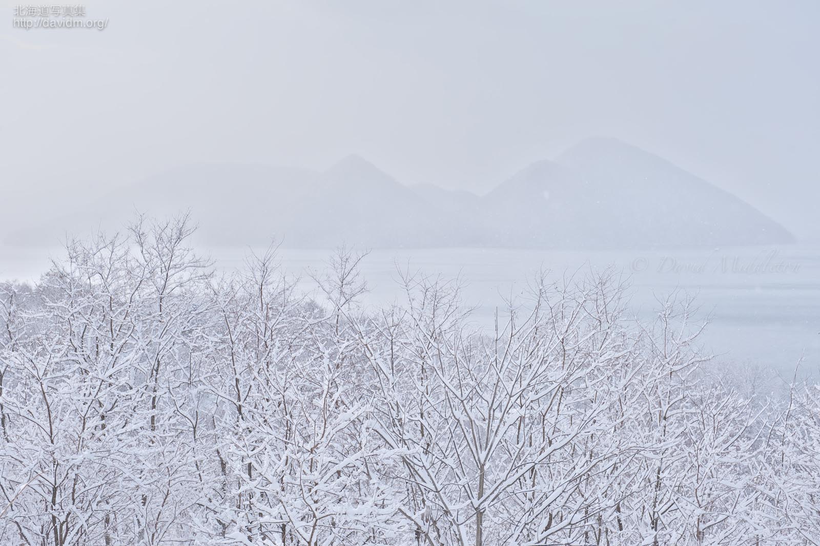 冬の風景 北海道壁紙の旅