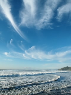 秋の空