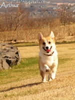 支えてくれてありがとう