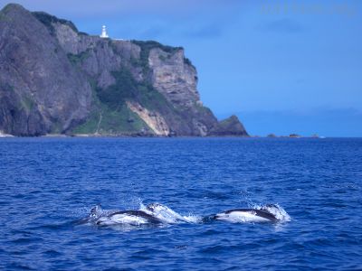 カマイルカと地球岬の写真