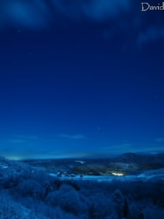 洞爺湖 月明かり 樹氷