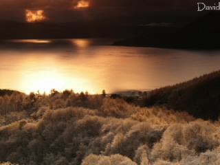 洞爺湖 樹氷