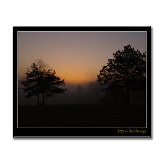 アメリカ合衆国ケンタッキー州　霧の朝