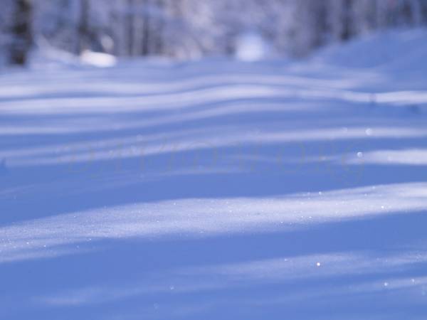 雪景色の写真