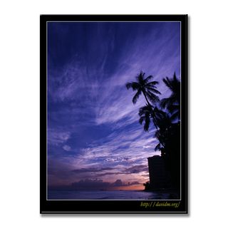 ハワイ夕景とヤシの木