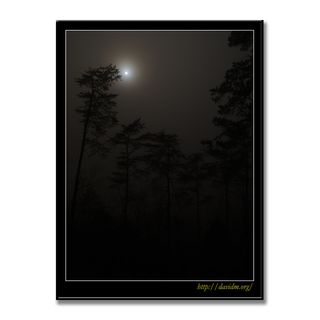 ケンタッキー州　霧の月夜