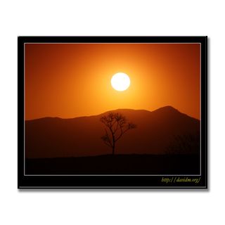 札内高原の夕陽に浮かぶ一本の木