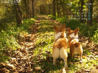 北海道壁紙の旅 北海道の風景写真をデスクトップ壁紙に