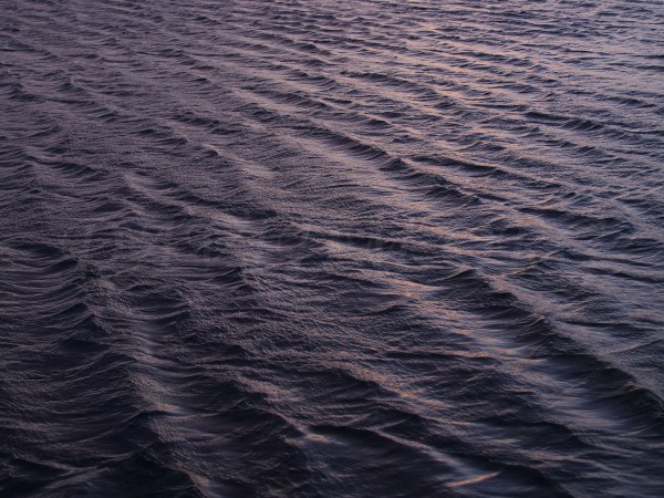 波立つ湖面の写真