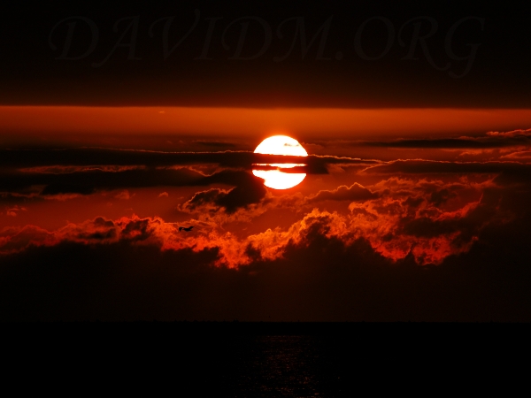 室蘭の夕陽の写真