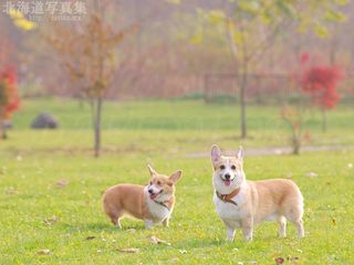 北海道壁紙の旅 北海道の風景写真をデスクトップ壁紙に