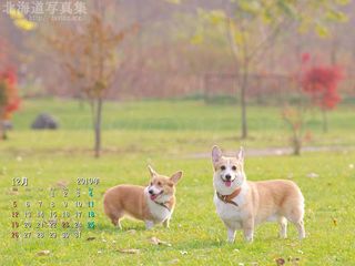 北海道壁紙の旅 北海道の風景写真をデスクトップ壁紙に