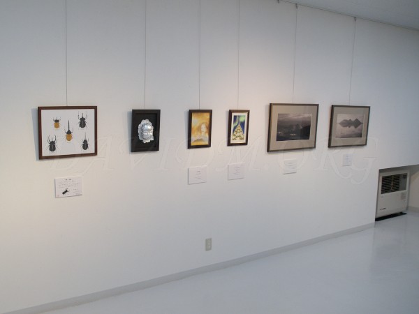 展示の様子