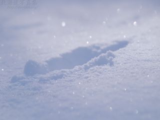 雪の足跡 今月の壁紙 北海道壁紙の旅