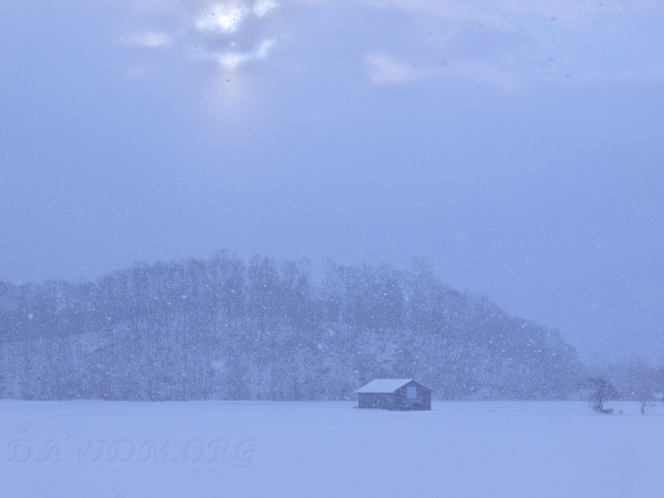 雪原の小屋と大雪