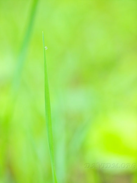 雨粒