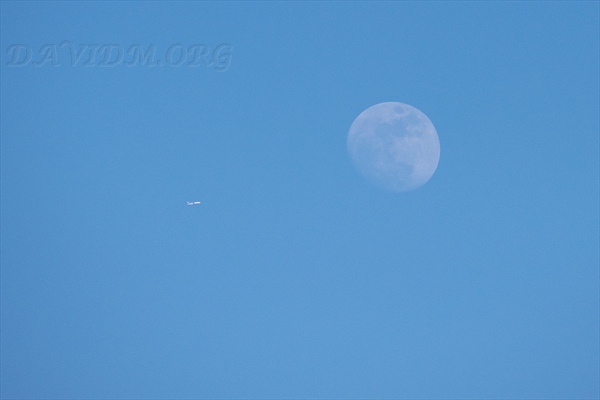 空に浮かぶ月