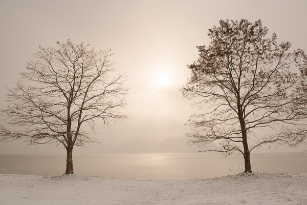 すっかり雪景色 北海道写真集