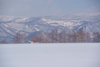 冬の風景 北海道壁紙の旅