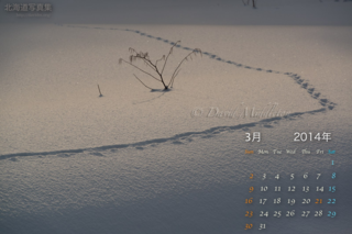 3月の壁紙カレンダー:　雪原の足跡