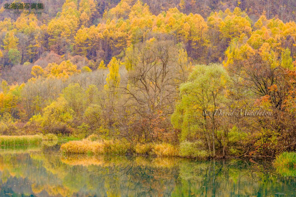 今月の壁紙:　川に映る秋