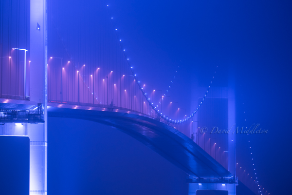 霧と白鳥大橋
